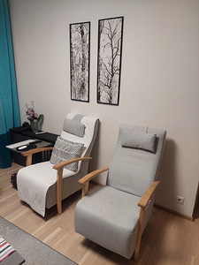 Kaks tugitooli ja diivan (2 foto / 2)