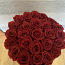 Uinuvad Roosid 25 roosi. (foto #2)