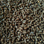 Продам топливные гранулы (пеллеты) из подсолнуха (фото #2)