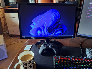 Samsung 24 Monitor IPS LED FULL HD 1920x1080 60Hz LS22D300 (1 foto / 1)