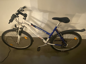 Amortidega Peugeot jalgratas (3 foto / 3)
