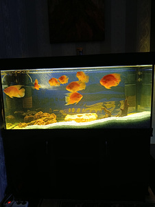 Akvaarium 350 l (2 foto / 2)