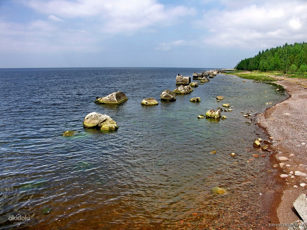 Фото вистино ленинградская область