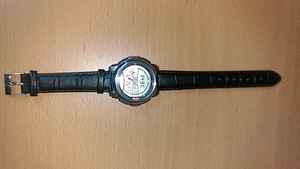 Часы Casio AQF - 100