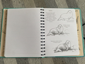 Sketchbook рисуем животных/ Продано (5 фото из 7)