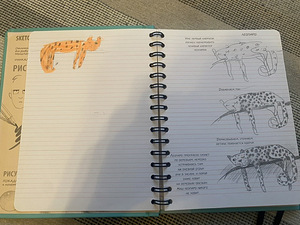 Sketchbook рисуем животных/ Продано (7 фото из 7)