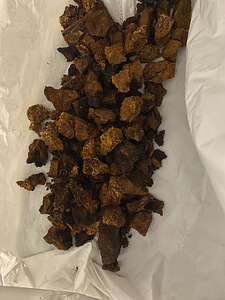 Chaga (4 foto / 4)