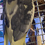 Papagoi korolla (foto #3)