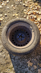 Talverehvid velgedel 215/60/R16 (4 foto / 6)