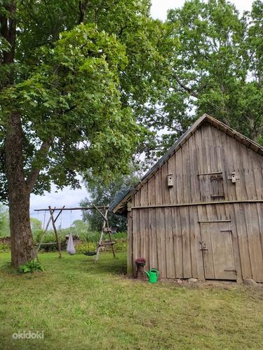 Эстонский хутор, построенный плотником (фото #13)
