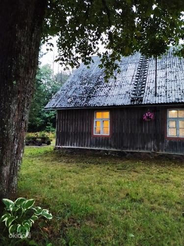 Эстонский хутор, построенный плотником (фото #14)