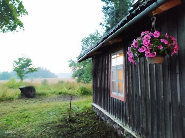 Эстонский хутор, построенный плотником (фото #15)