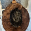 Шляпа из нутрии (фото #4)