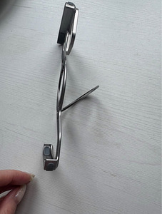 Metallist ümbris iPhone 15 Pro Maxile (3 foto / 4)