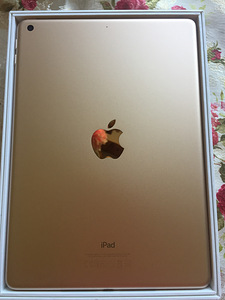 iPad