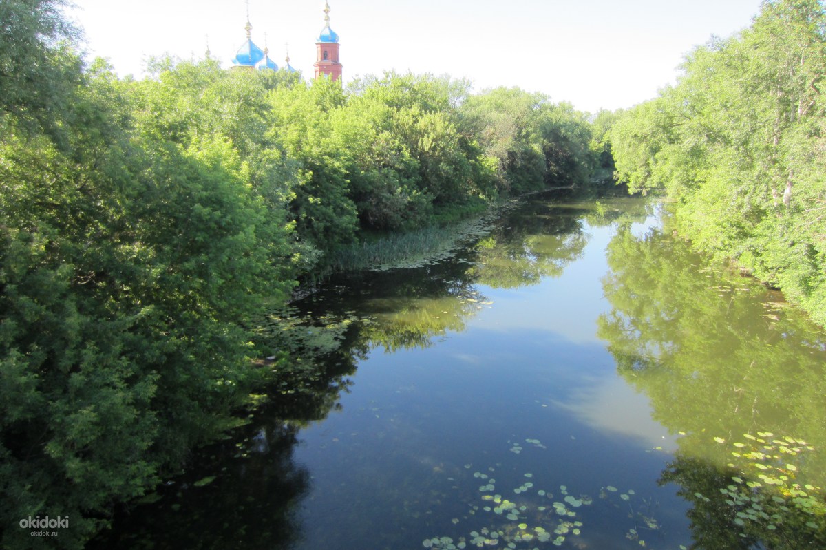Петровск Саратовская река