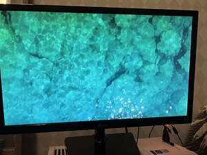 LG 24” 75hz 1920x1080 1080P monitor, ekraan, kuvar (1 foto / 2)