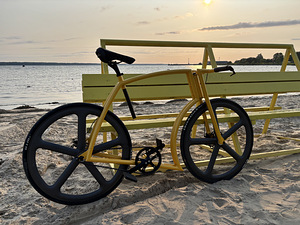 VIKS GT LAUNCH EDITION (1 foto / 7)