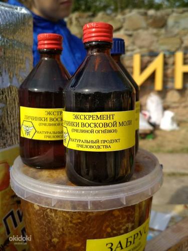 ПЖЛ восковой моли (Натуральный продукт пчеловодства) (фото #1)