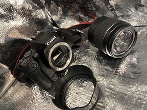 Canon 250D + Canon EF-S 18-55mm f/3.5-5.6 (5 foto / 5)
