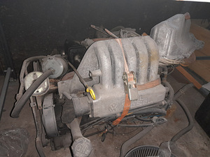 Vw T4 2 двигателя (2 фото из 2)