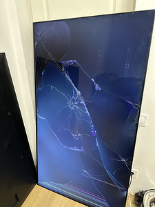 Samsung QE65QN90AATXXH varuosadele (1 foto / 2)