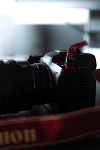 Canon R5C (4 фото из 7)