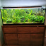 Комплектный аквариум juwel на 240 л (фото #1)