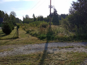 Allika tee 2, Remniku, Alutaguse vald, Ida-Virumaa (2 foto / 6)