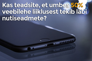 Kodulehed ja tarkvaraarendus (3 фото из 3)