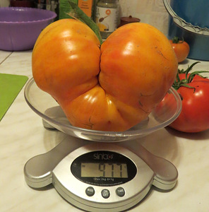 Семена вкусных и урожайных томатов