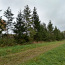 Земельный участок в деревне Раудоя, волость Ания (фото #4)