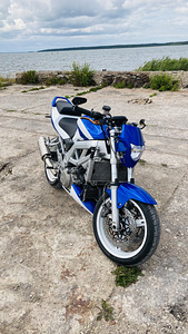 M: suzuki sv1000 (4 foto / 7)