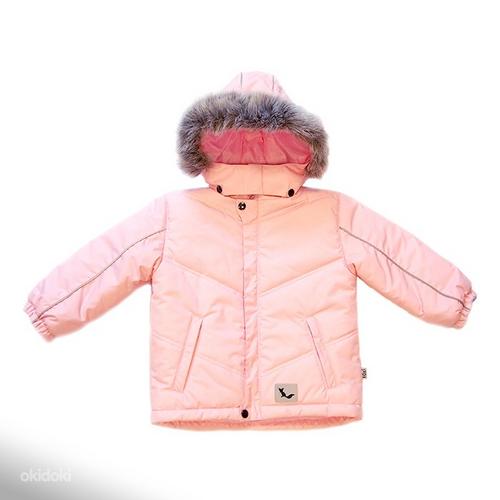 Зимние куртки (80-140), новые производства Эстонии, распродажа -70% (фото #1)