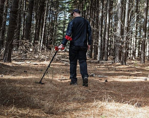 Metallidetektor Minelab Vanquish 440 (9 foto / 9)
