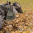 Уборка и вывоз мешков с листьями !!! (фото #1)