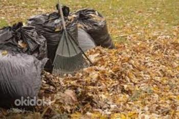 Lehtedega kottide puhastamine ja äravedu !!! (foto #1)