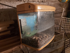 Akvaarium 20 l (2 foto / 8)