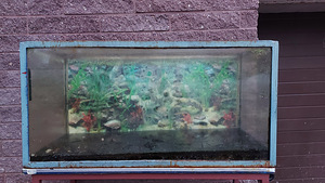 Akvaarium 240l + triikraud (4 foto / 5)