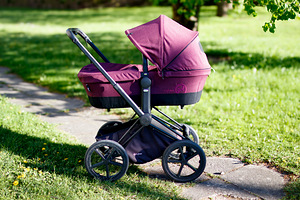 комплект Cybex Priam (2 фото из 5)