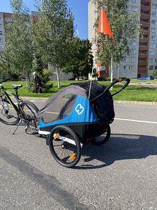 Jalgrattahaagis lastele 2 kohta (3 foto / 8)