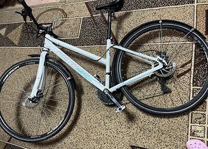 Jalgratas MERIDA CROSSWAY WOODLAND