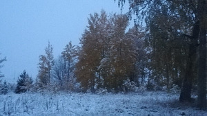 Kupna tn 3, Viru-Jaagupi, Vinni vald, Lääne-Virumaa (13 foto / 16)