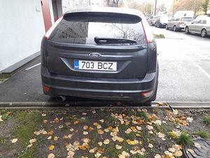 Ford focus (9 фото из 12)