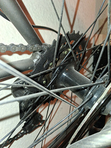 Fuji 29tolli (8 foto / 10)