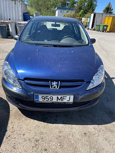 PEUGEOT 307 1,6 BENS VARUOSAD (1 foto / 9)