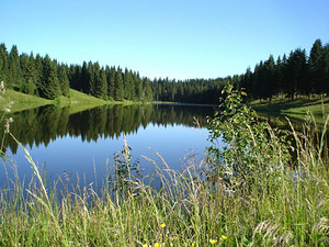 Pärna tn 1, Aegviidu, Anija vald, Harjumaa (8 фото из 10)