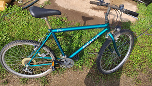 Jalgratas Pegasus 26" (1 foto / 1)