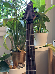 ESP Horizon See Thru Purple 2000 (5 foto / 10)