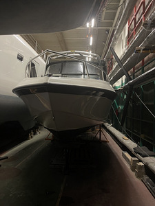 Crownline 210CCP+ Haagis Võimalus maksta osade (7 foto / 10)
